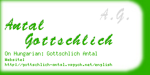 antal gottschlich business card